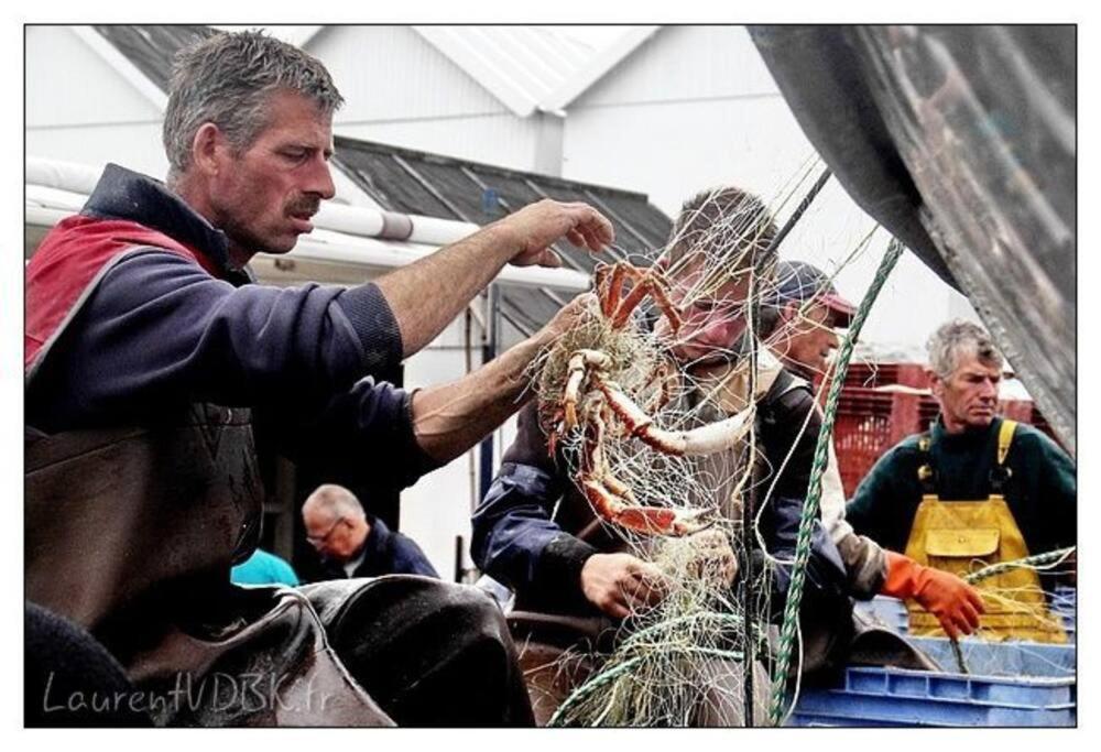 Superbe Propriete Bord De Mer - Le Clos Ricarda Sainte-Marguerite  Eksteriør billede