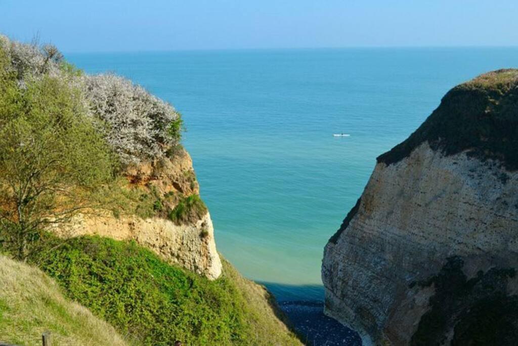 Superbe Propriete Bord De Mer - Le Clos Ricarda Sainte-Marguerite  Eksteriør billede